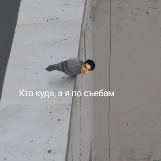 Sticker from ТРАХ