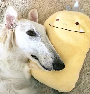 Sticker from borzoi