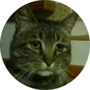 Sticker from Some Cats