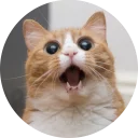 Sticker from Some Cats