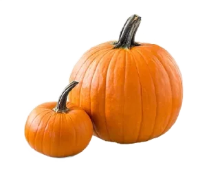 🌟 emoji Ginger Fall🍁 Telegram sticker 2 of 15