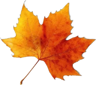 🌟 emoji Ginger Fall🍁 Telegram sticker 10 of 15