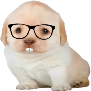 🤓 emoji VPN 👉 @gptVPNrbot Telegram sticker 12 of 85
