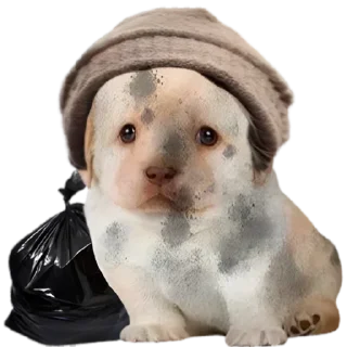 💩 emoji VPN 👉 @gptVPNrbot Telegram sticker 21 of 85