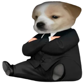 😎 emoji VPN 👉 @gptVPNrbot Telegram sticker 8 of 85