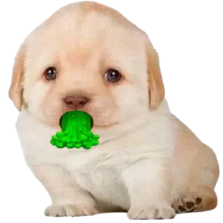 🤢 emoji VPN 👉 @gptVPNrbot Telegram sticker 19 of 85