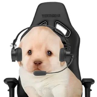 🤓 emoji VPN 👉 @gptVPNrbot Telegram sticker 22 of 85