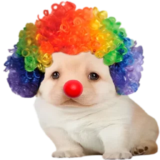 🤡 emoji VPN 👉 @gptVPNrbot Telegram sticker 16 of 85