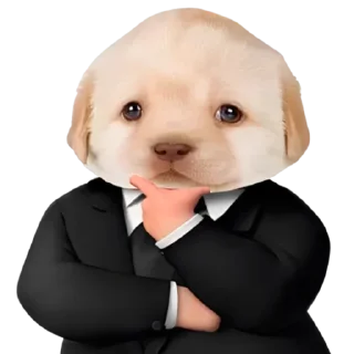 😎 emoji VPN 👉 @gptVPNrbot Telegram sticker 5 of 85