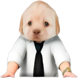 😎 emoji VPN 👉 @gptVPNrbot Telegram sticker 7 of 85