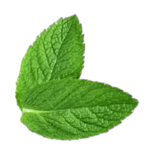 🥬 emoji Всё что попало Telegram sticker 6 of 100