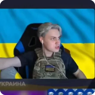 🌟 emoji Мирные переговоры Telegram sticker 23 of 25