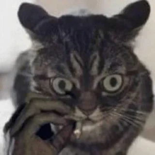 😨 emoji хуикеры — @stckrRobot Telegram sticker 1 of 120