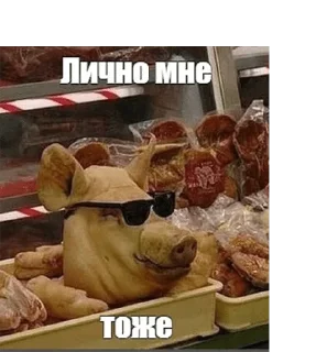 😎 emoji хуикеры — @stckrRobot Telegram sticker 10 of 120