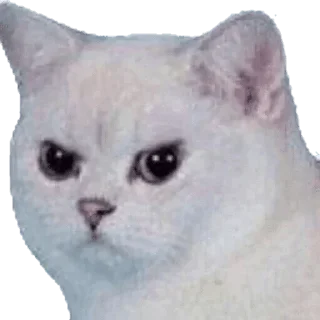 😡 emoji хуикеры — @stckrRobot Telegram sticker 11 of 120