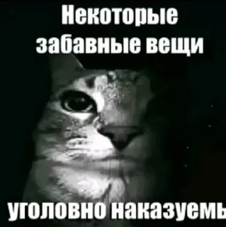 Sticker from я не знаю