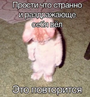 🌟 emoji котята Telegram sticker 20 of 23