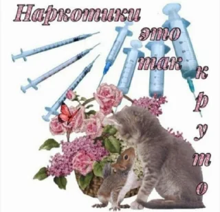 🌟 emoji котята Telegram sticker 21 of 23