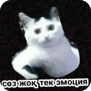 🫥 emoji Аминааммм 😄🧡 ➡️ @Ctikerubot Telegram sticker 18 of 64