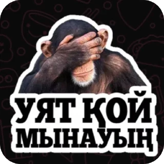 🫥 emoji Аминааммм 😄🧡 ➡️ @Ctikerubot Telegram sticker 16 of 64