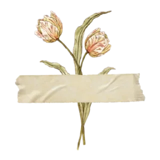 Sticker from aesthetic