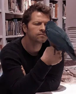 🦜 emoji Сверхъестественное 🤪 Telegram sticker 6 of 70