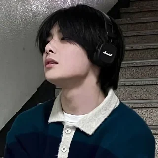 Sticker from stray kids