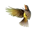 🐤 emoji Imagine Dragons Telegram sticker 22 of 26