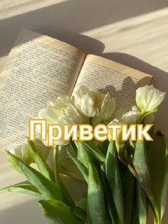 Sticker from Эстетик стик