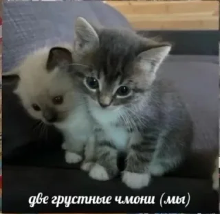 Sticker from Солнышко