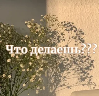 Sticker from Эстетик стик