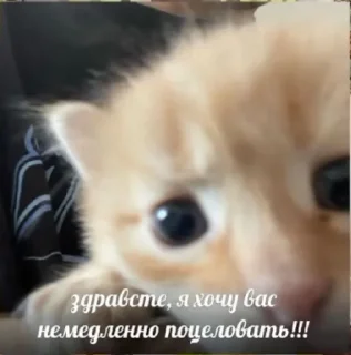 Sticker from Солнышко
