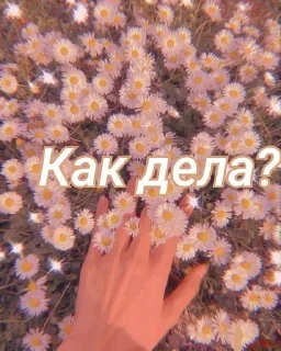 Sticker from Эстетик стик