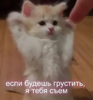 Sticker from Солнышко
