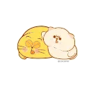 😠 emoji @SenanHacizade @DTOUserBot Paketi 1 animasyonlu Telegram sticker 6 of 25