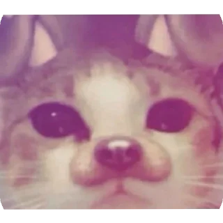 👍 emoji kitty Telegram sticker 5 of 120