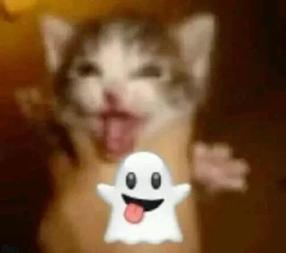 🌟 emoji kitty Telegram sticker 21 of 120
