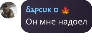 🎥 emoji ༄ᴄʜᴀᴛ ᴘᴀᴋ༄ Telegram sticker 13 of 50