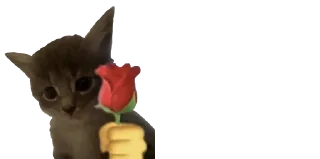 🕳️ emoji coffee time Telegram sticker 17 of 75