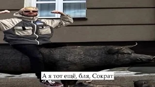Sticker from гениальные строчки