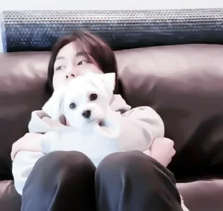 🐶 emoji jungwon enhypen. @akilenhelp Telegram sticker 7 of 43
