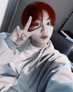 ✌️ emoji jungwon enhypen. @akilenhelp Telegram sticker 9 of 43