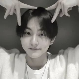 😸 emoji jungwon enhypen. @akilenhelp Telegram sticker 18 of 43