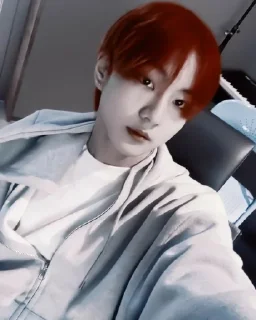 😐 emoji jungwon enhypen. @akilenhelp Telegram sticker 5 of 43