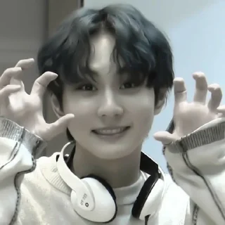 🐱 emoji jungwon enhypen. @akilenhelp Telegram sticker 10 of 43