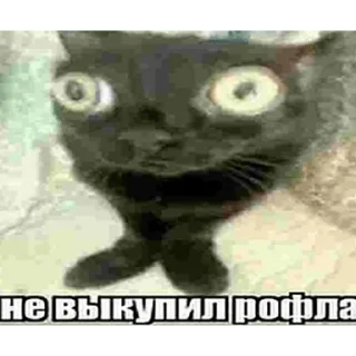 Sticker from бан