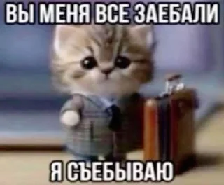 🙄 emoji суета Telegram sticker 6 of 83