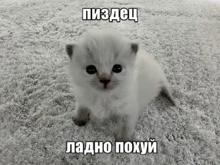 😔 emoji суета Telegram sticker 8 of 83