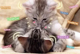 😎 emoji Стикеры @stickrubot @textmeru_bot Telegram sticker 13 of 44