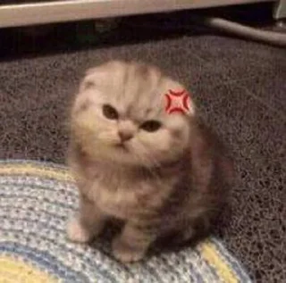 😍 emoji Стикеры @stickrubot @textmeru_bot Telegram sticker 8 of 44
